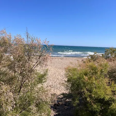 Apartment On The Front